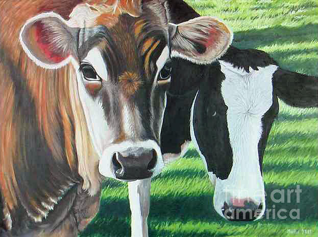 Cow Painting - Jersey Cow 2 by Martha DArt