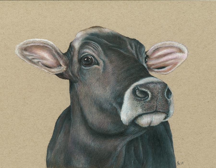 Jersey Cow Drawing by Fran Megerdichian