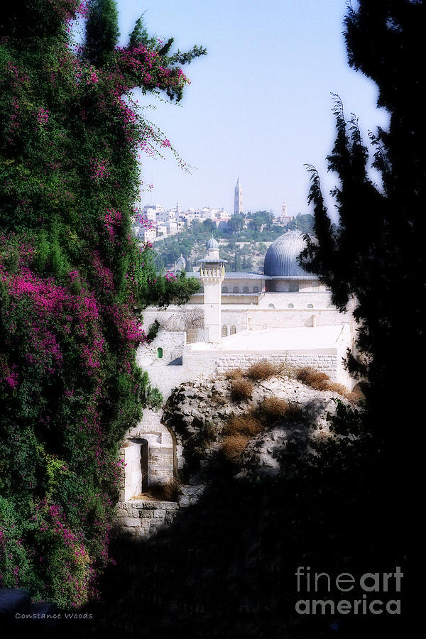 Jerusalem Beautiful Painting by Constance Woods