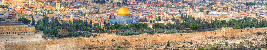 Jerusalem panorama Photograph by Don Wolf