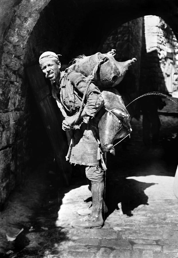 Jerusalem Water Carrier Photograph by Granger - Fine Art America