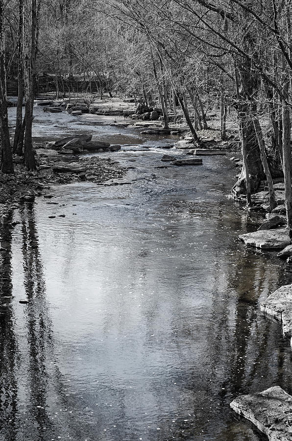 Spring Photograph - Jessamine Creek by Diana Boyd Spring Photograph - Jessamine Creek by Diana Boyd
