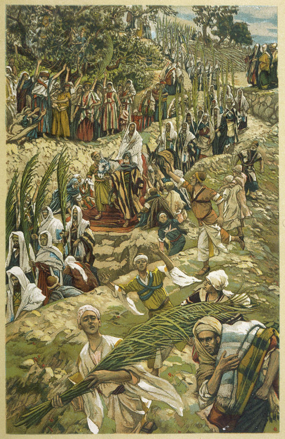 Jesus Entering Jerusalem On The Back Drawing by Mary Evans ...