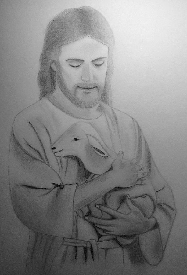 Jesus Holding Lamb Drawing by Jacinta Ngai