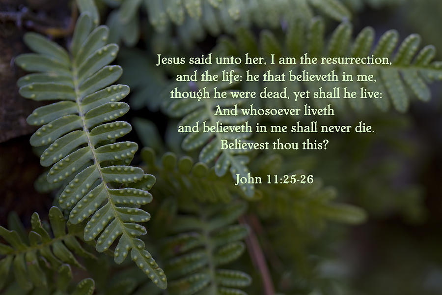 Jesus is the Resurrection and the Life Photograph by Kathy Clark | Fine ...