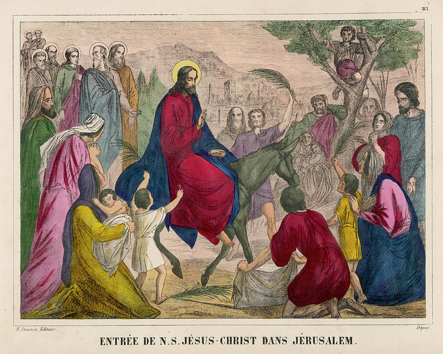 Jesus Rides Into Jerusalem On A Donkey Drawing by Mary Evans Picture ...