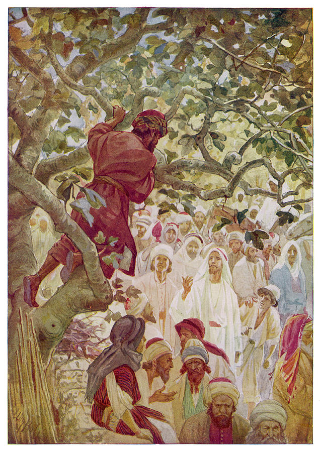 Jesus Sees The Publican Zacchaeus Drawing by Mary Evans Picture Library