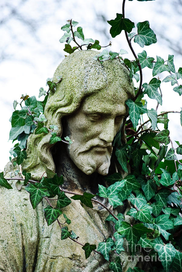 Jesus Christ Photograph - Jesus with ivy by Sarka Olehlova