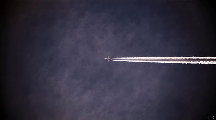 Airplane Photograph - Jet II by Augustina Trejo
