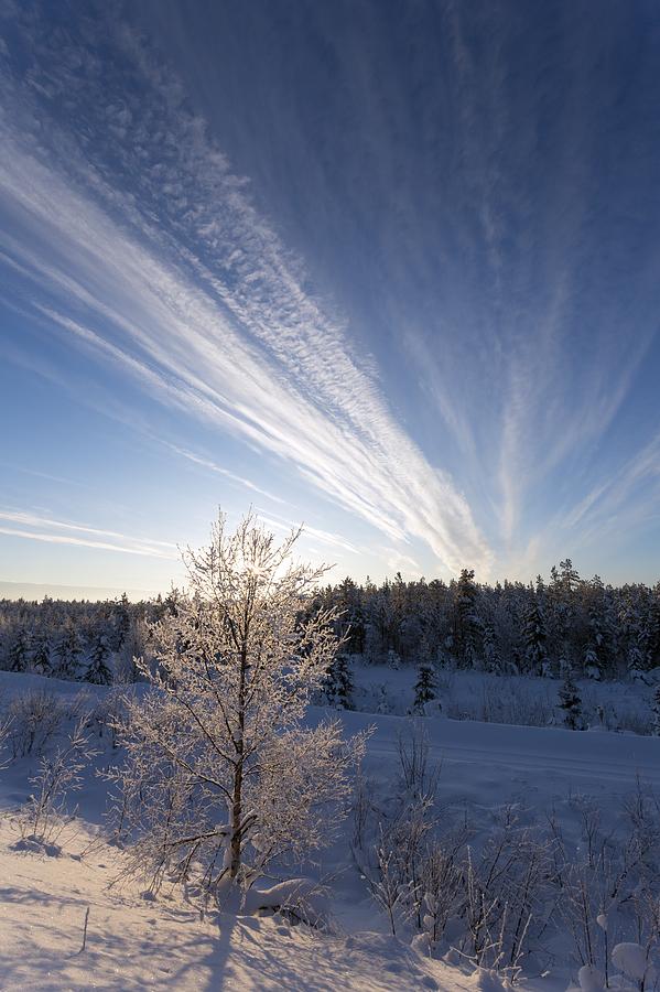 jet-stream-cirrus-clouds-photograph-by-science-photo-library-fine-art