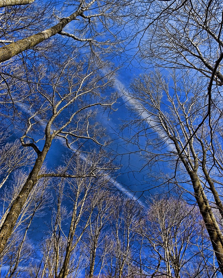 Jet Trails Photograph by Robert Culver