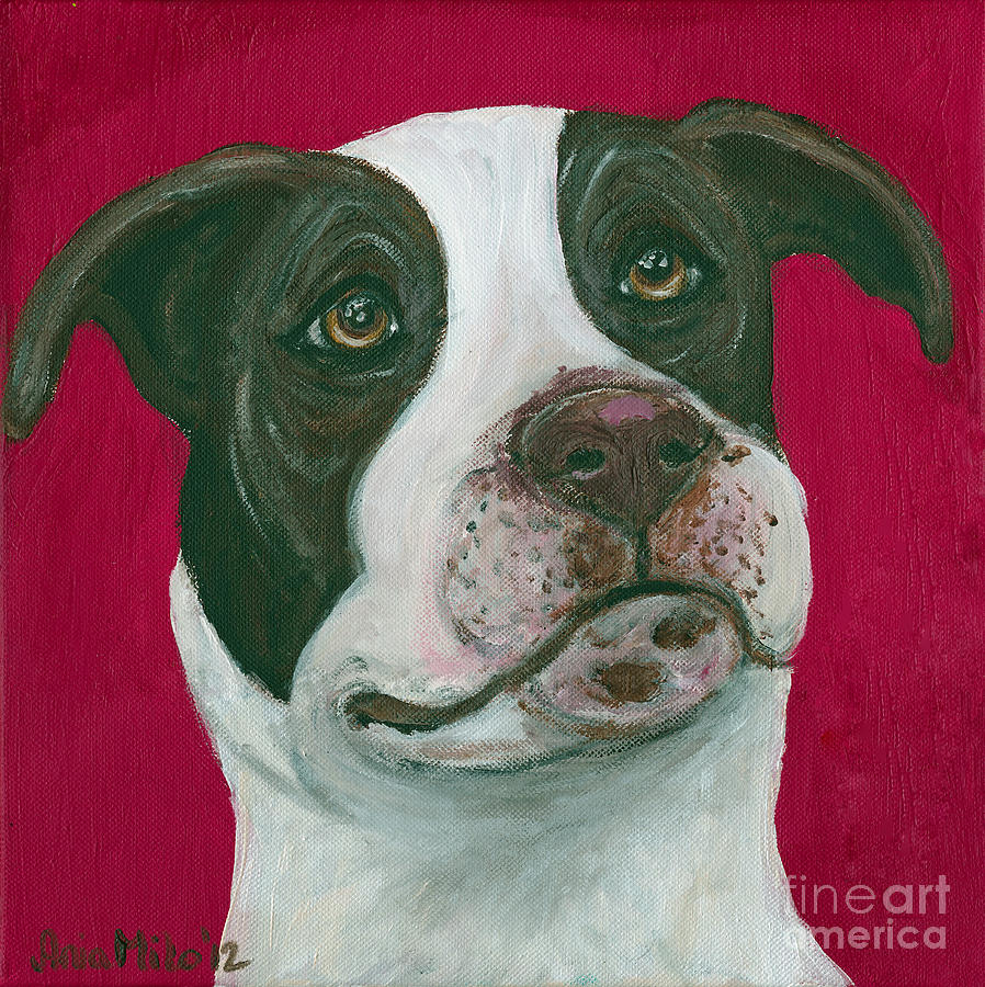 Jethro on Red Painting by Ania M Milo