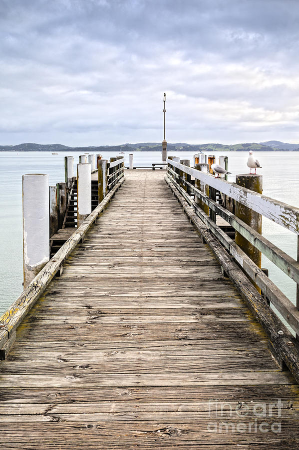Jetty at Maraetai Beach Auckland New Zealand Photograph by Colin and Linda McKie
