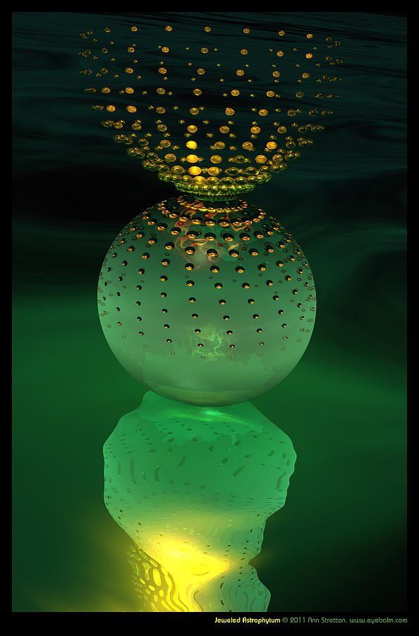 Jeweled Astrophytum  Digital Art by Ann Stretton