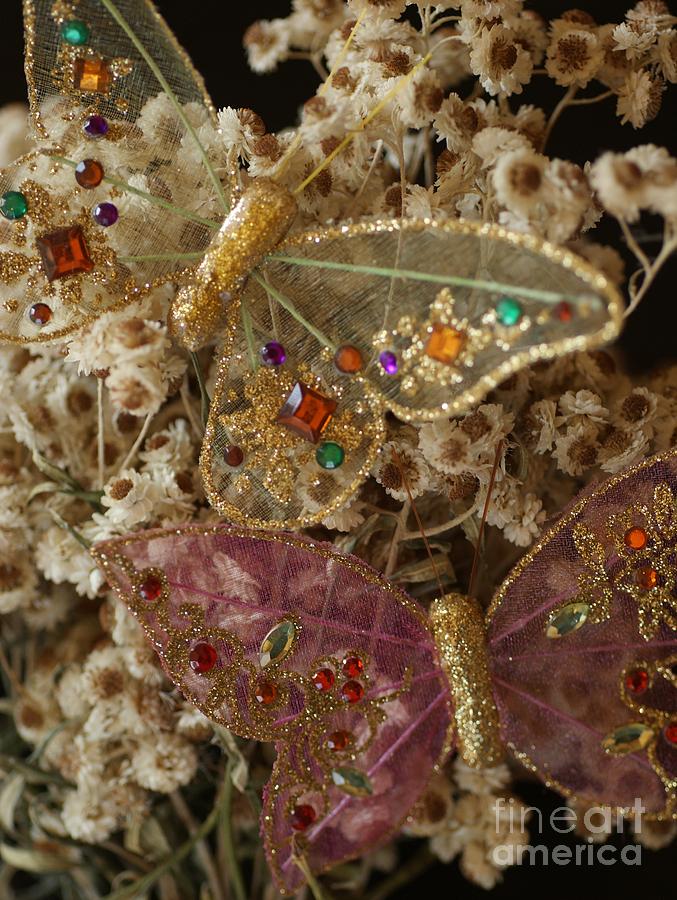 Jeweled Butterflies Photograph by Loni Collins