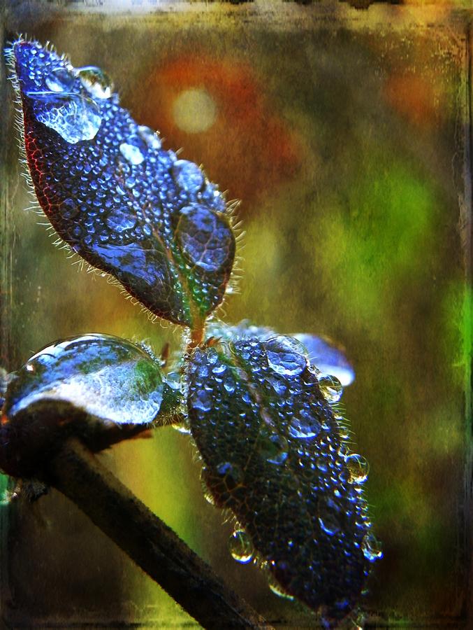 Fantasy Photograph - Jeweled Leaves by Leah Moore