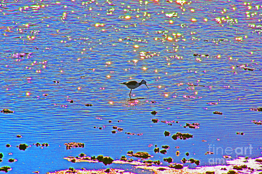 Jewelled Water Photograph by Cassandra Buckley
