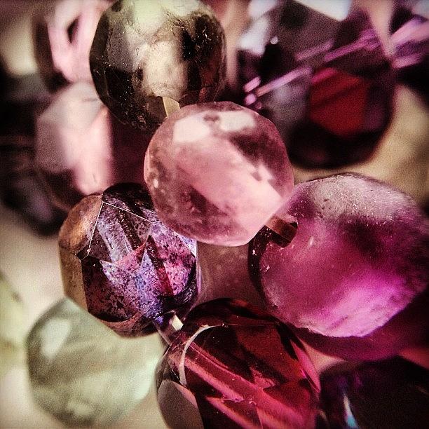 Closeups Photograph - Jewels by Nic Squirrell