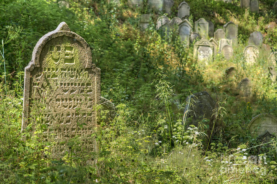 Jewish Cemetery - Nove Sedliste Photograph by Michal Boubin