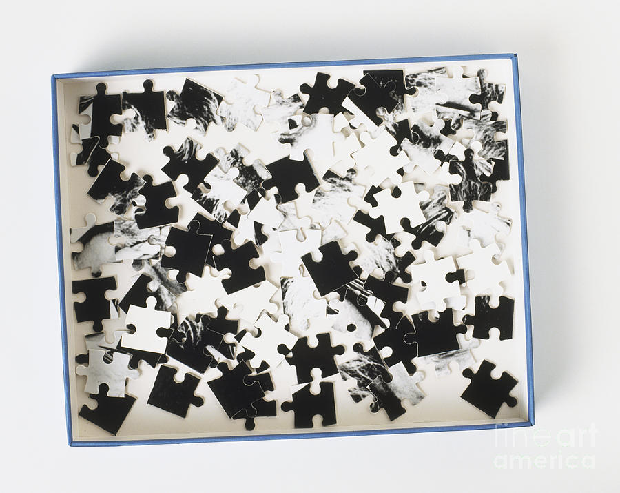 Jigsaw Puzzle Photograph by Tim Ridley Dorling Kindersley