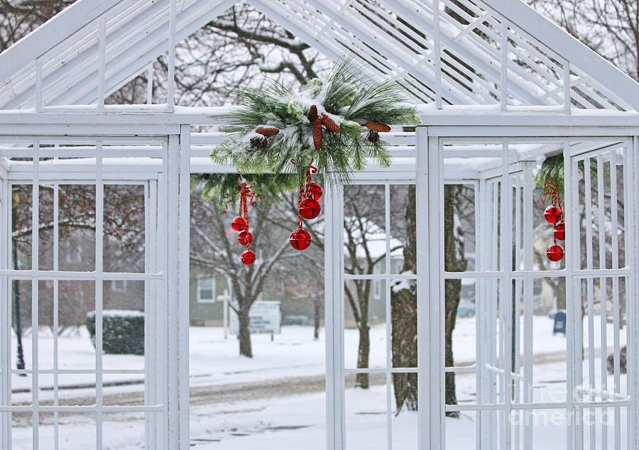 Winter Photograph - Jingle Bells 0882 by Jack Schultz