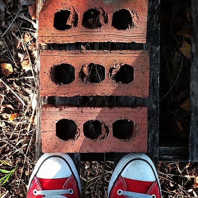 Converse Photograph - #jj_anythinginthrees by Angela Davis