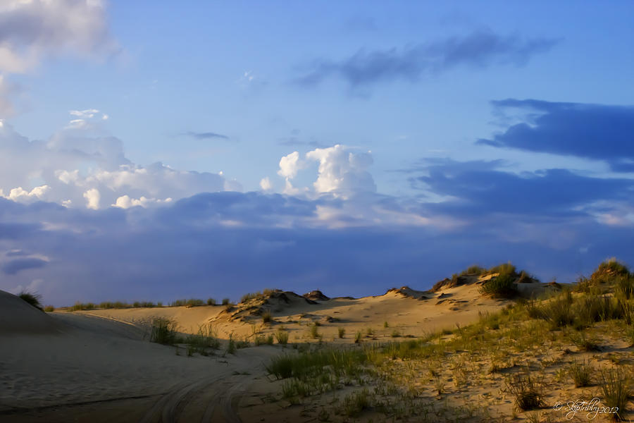 Sand Photograph - Jockeys Ridge State Park by Skip Tribby