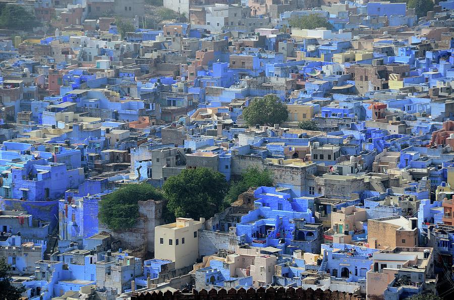 Jodhpur Blue City Photograph by Aaron Geddes Photography
