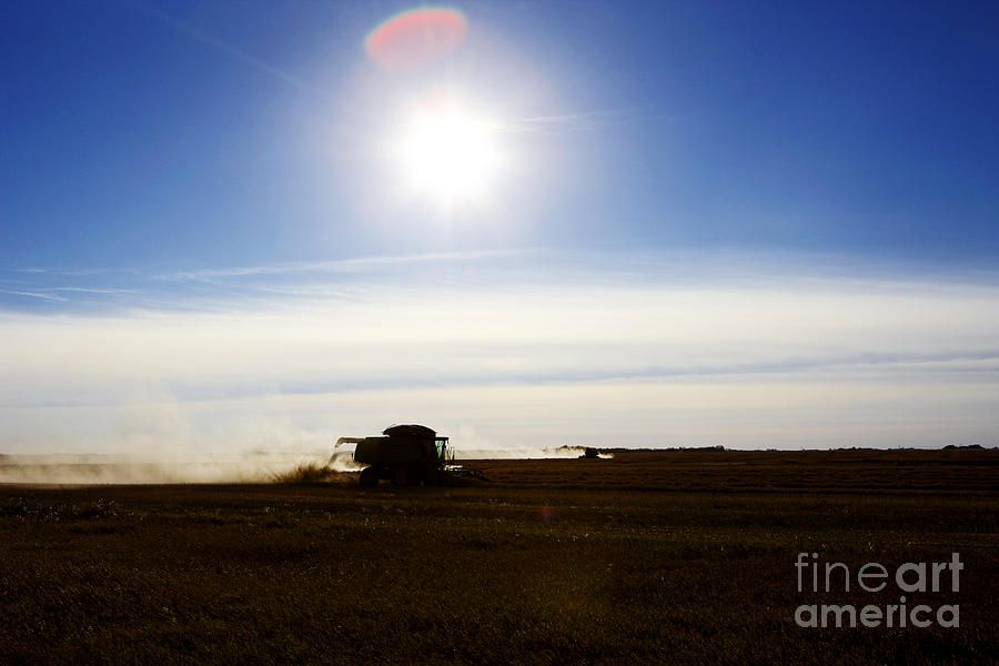 Summer Photograph - Joe Fox Fine Art - bringing in the harvest on the prairies of saskatchewan by Joe Fox