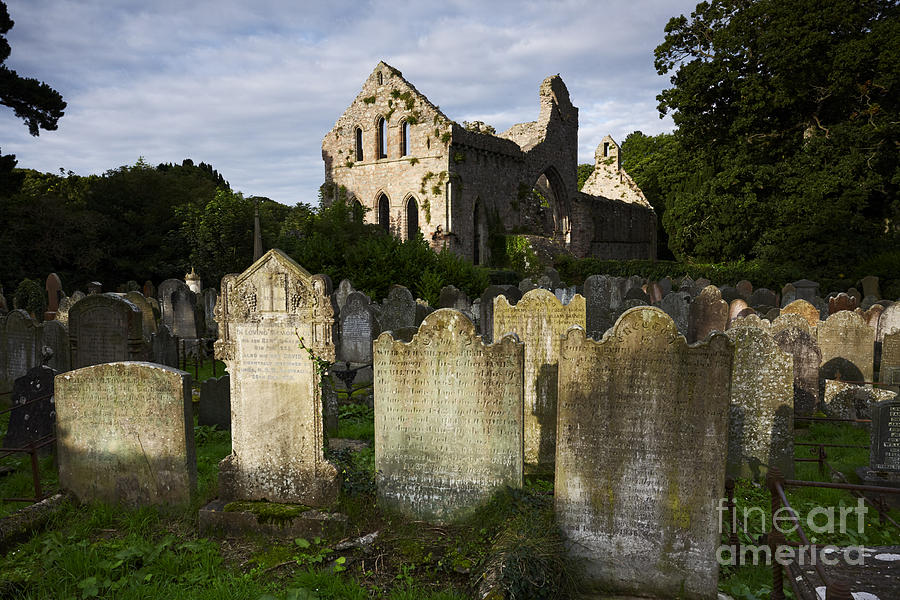 Joe Fox Fine Art Greyabbey Cistercian Abbey And Graveyard In County