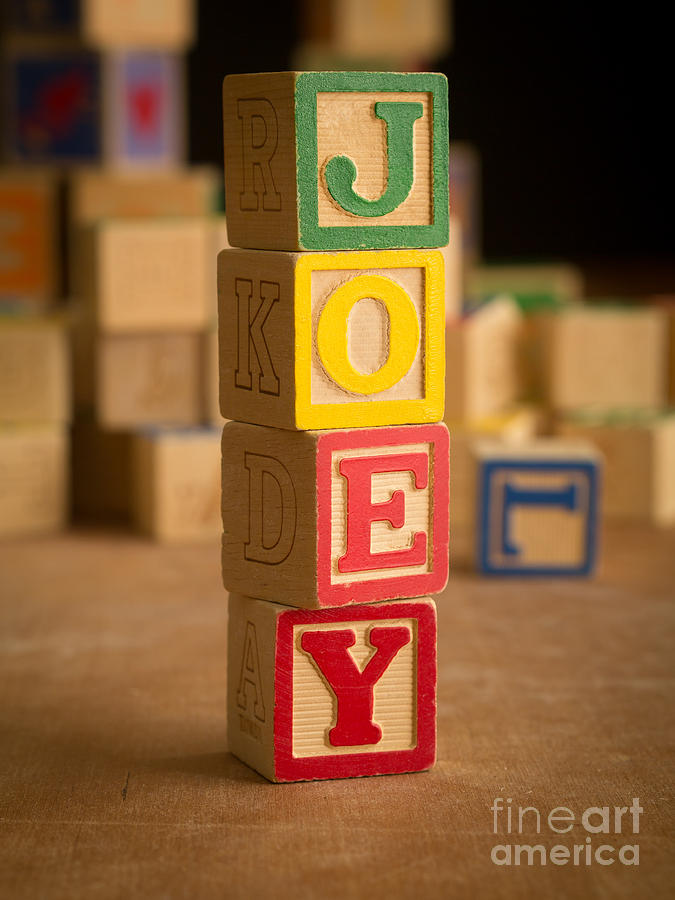 JOEY - Alphabet Blocks Photograph by Edward Fielding