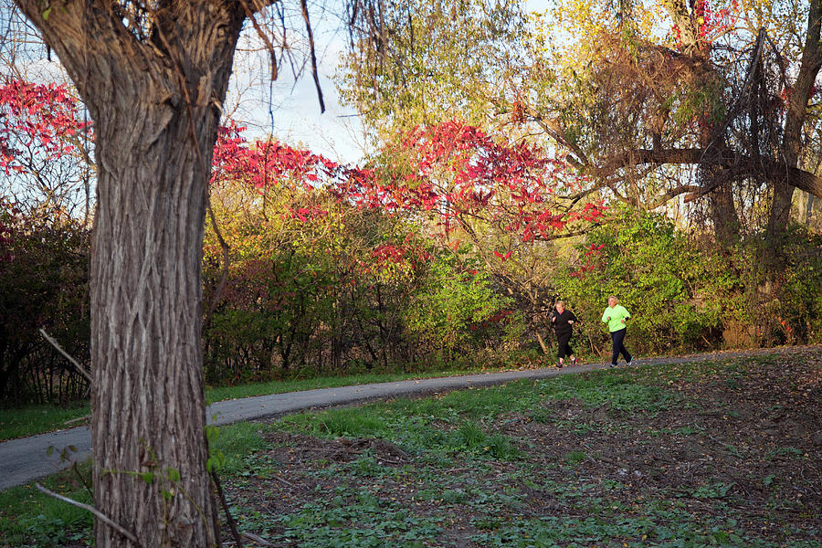 Joggers In Parkland In Autumn Photograph by Jim West