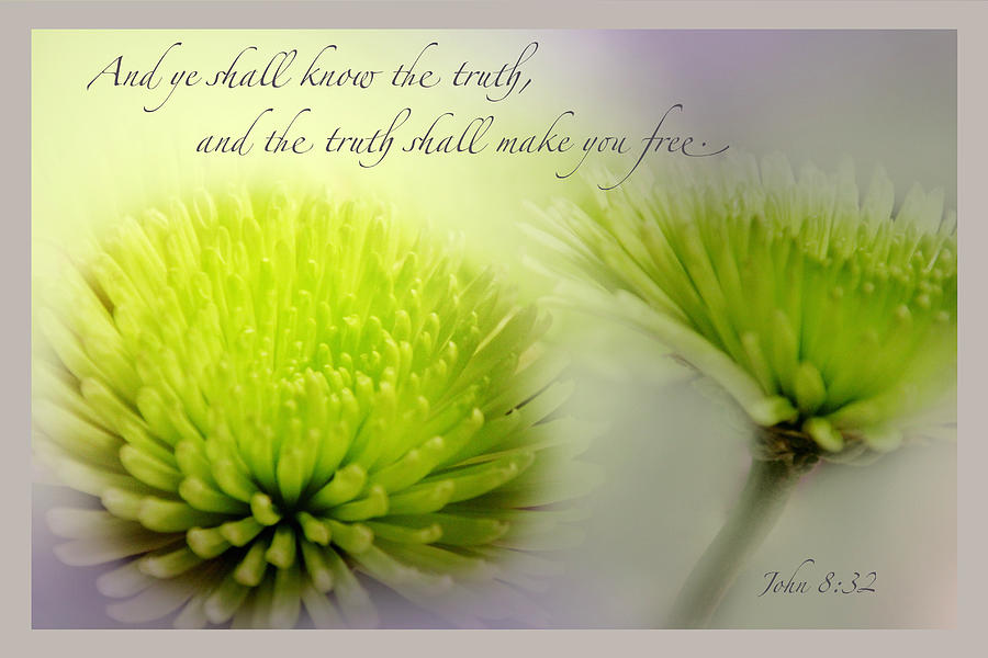 John 8 verse 32 Photograph by Debbie Nobile | Fine Art America