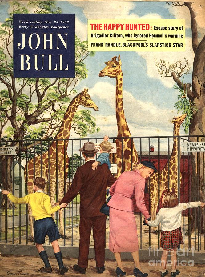 John Bull 1950s Uk London Zoo Zoos Drawing By The Advertising Archives ...