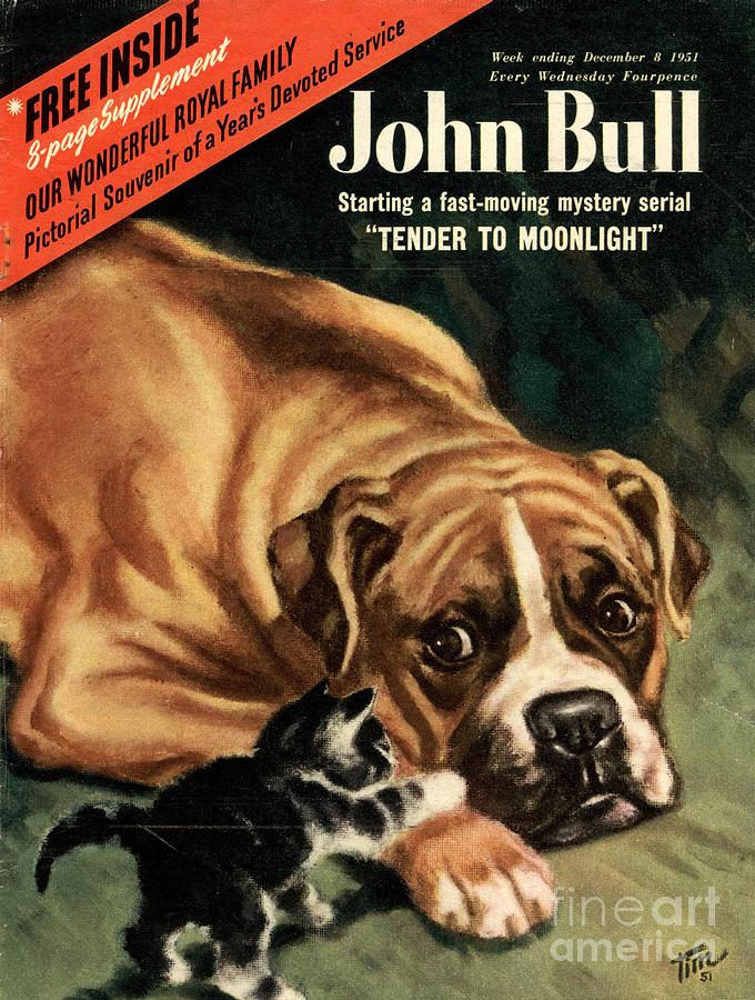 Covers Drawing - John Bull 1951 1950s Uk Dogs Cats by The Advertising Archives