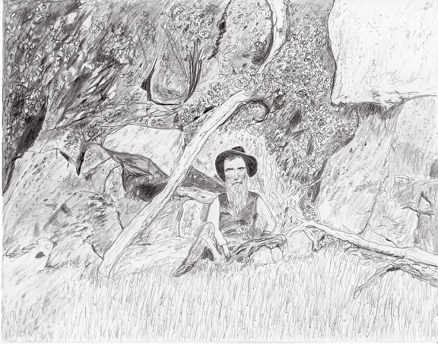 John Muir at Hetch Hetchy Drawing by Jim Taylor