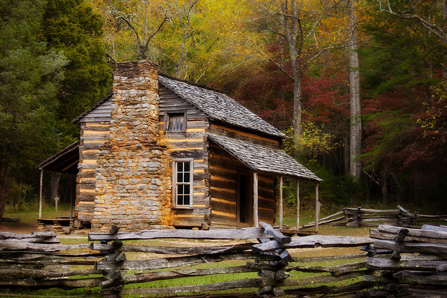 Tree Photograph - John Oliver Cabin Cades Cove by Lena Auxier
