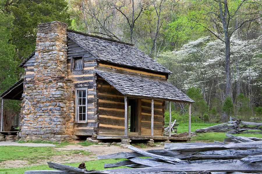 John Oliver Cabin In A Forest, Cades Photograph by Panoramic Images ...