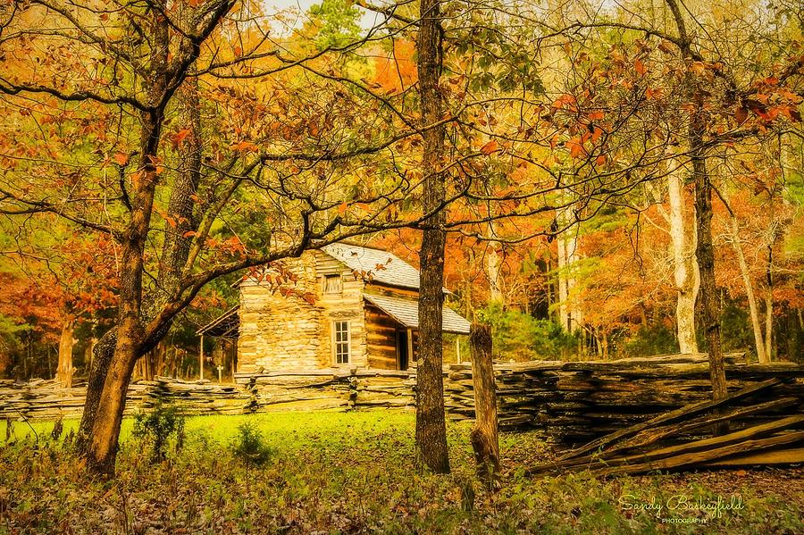 John Oliver in the Fall Photograph by Sandy Baskeyfield - Fine Art America