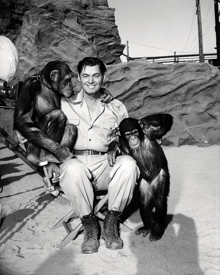 Johnny Weissmuller Photograph - Johnny Weissmuller in Jungle Jim  by Silver Screen