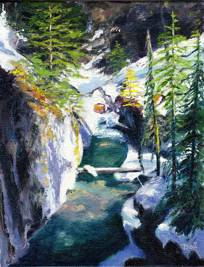 Johnston Canyon Alberta Canada Painting by Dai Wynn