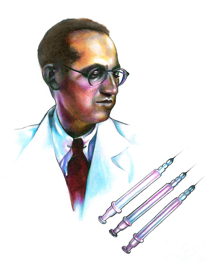 Jonas Salk, Microbiologist Photograph by Gwen Shockey