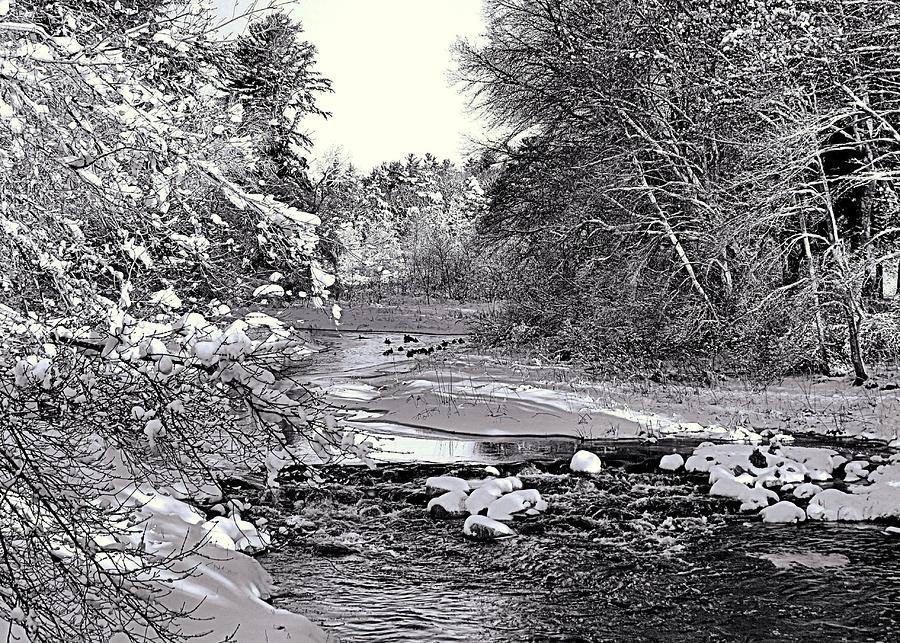 Jones River Kingston MA black and white Photograph by Janice Drew