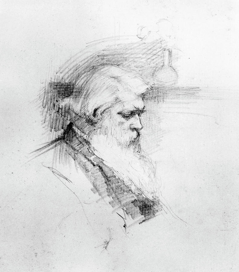 Joseph W Drawing by Granger