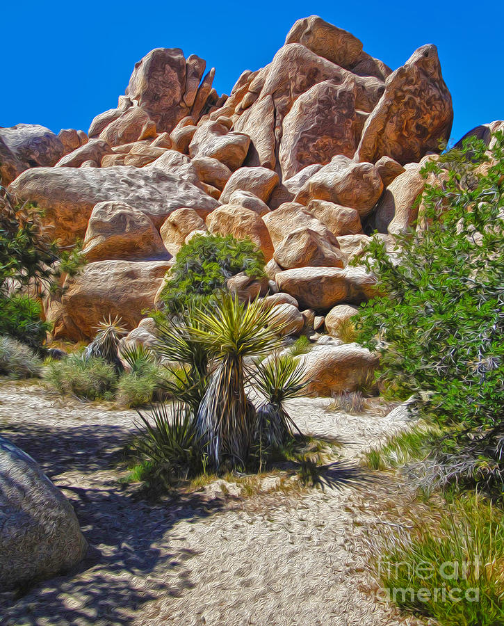 Landscape Photograph - Joshua Tree - 08 by Gregory Dyer