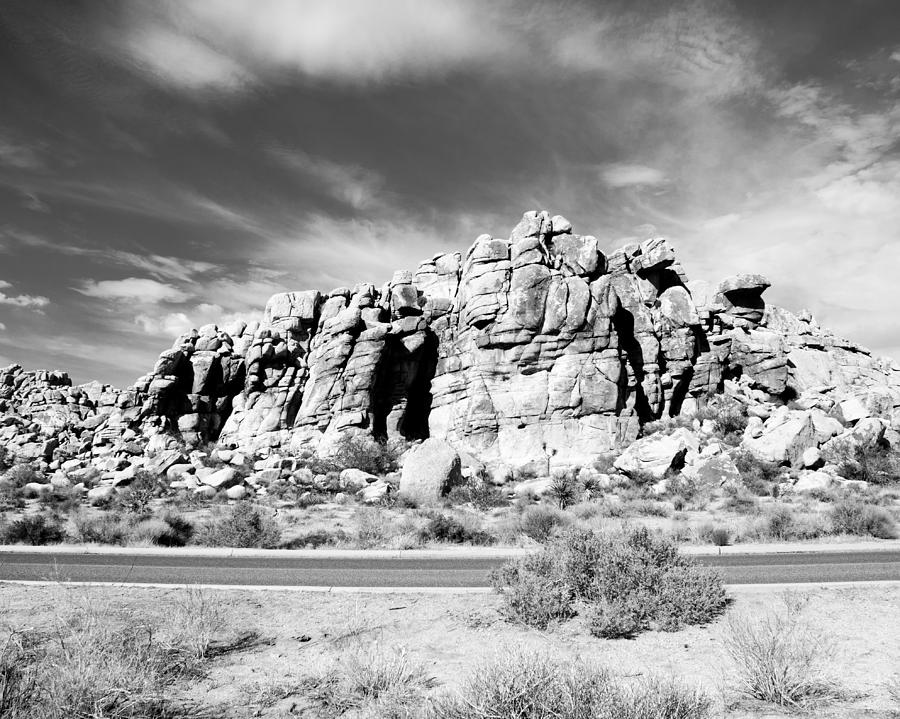 Black And White Photograph - Joshua Tree 6 by Alex Snay