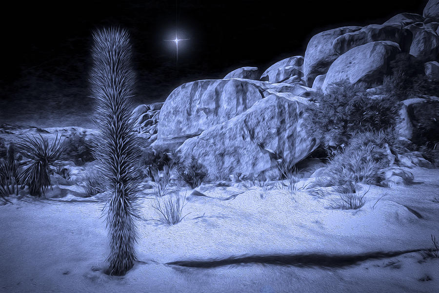 Joshua Tree Hidden Valley Digital Art by Sandra Selle Rodriguez