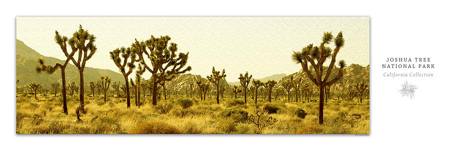 Joshua Tree National Park Art Poster - California Collection Photograph by Ben and Raisa Gertsberg