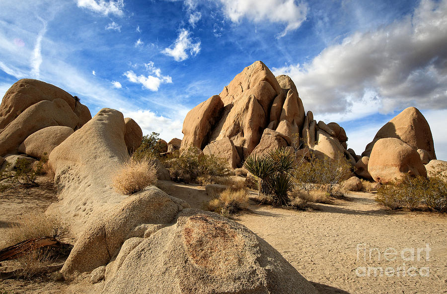 Joshua Tree National Park Inselberg formations Photograph by Charline Xia