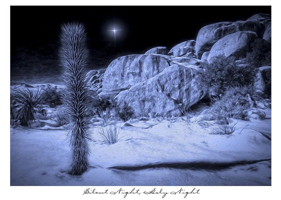Joshua Tree National Park Digital Art by Sandra Selle Rodriguez